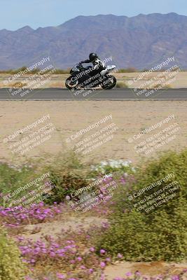 media/Mar-12-2023-SoCal Trackdays (Sun) [[d4c8249724]]/Turn 15 Inside Bloom (130pm)/